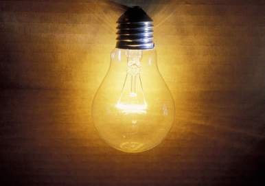 15-light-bulb-rex